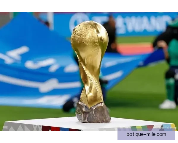 2026世界杯官方宣布为持票观众提供全程医疗保险保障确保赛事期间健康安全